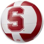 Dan Hanan - @volleynerd - Instagram