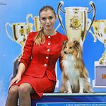 Наталья Данилина - @danilina_handler - Instagram