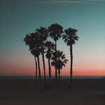 Daniel Hannaford - @danhannfilms - Instagram