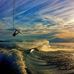 Dan Hansen - Facebook