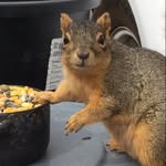 Dan Hansen - @danhansen480 - Instagram