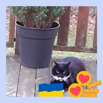 Dan Hansen - @pedersenjens04 - Instagram