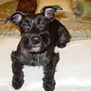 Dan Hansen - @dan.hansen3 - TikTok