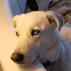 Dan Hansen - @danhansen25 - TikTok