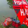 ᗪαրɧ★ᴬᴿᴮ🎣 - @danh.arb - TikTok