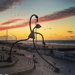 Danny Oosterbaan - @danharbor - Instagram