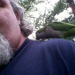 dan harder - @danharder26 - Instagram