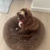 dan.harry7 - @dan.harry7 - TikTok