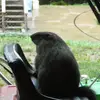 dannyhartwell - @dannyhartwell - TikTok