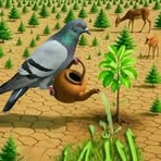 Dan Hassan - Facebook