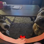 Dan Hatfield - @dan.hatfield.146 - Instagram