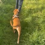 Dan haughton - @dan_haughton - Instagram