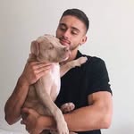 Dan Hazard - @eletronicosdovini - Instagram