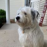 Dan Hazel - @dankhazel12 - Instagram
