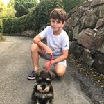 Dan Hazeldine - @dan_hazeldine06 - Instagram