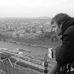 Dan Heasman - Facebook