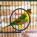 Danis Herman - Facebook