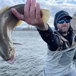 Dan Heavrin - @heavrindan - Instagram