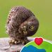 Dan Hecker - Facebook