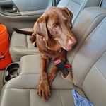 Dan Hecox - @danhecox - Instagram