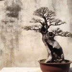 @dan_hedeen - Instagram