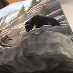 Danny Heflin - @heflin.danny - Instagram