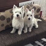 Dan Hegarty - @hegdou - Instagram