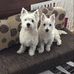 Dan Hegarty - Facebook