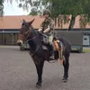 Daniel Hegner - @danielhegner0 - TikTok