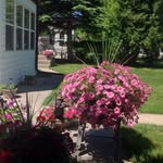 Dan Heide - @grampa_dan2020 - Instagram