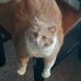 Dan Heil - Facebook