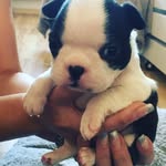 Daniel Heinlein - @rainbow_coat7 - Instagram