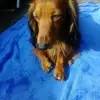 Dana Heinrichs - @danaheinrichs0 - TikTok