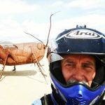 Dan Heiser - @mr_danheiser - Instagram