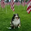 Linda Danheiser - @linda.danheiser - TikTok