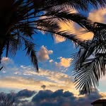 Dan Heitz - @heitz.dan - Instagram