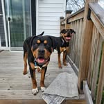 Daniel Heitman - @dan_heitman - Instagram