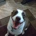 Dan Helsel - Facebook