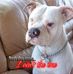Daniel Hembree - Facebook