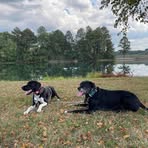 Dan Hemmer - Facebook