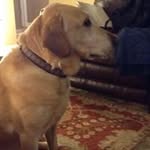 Dan Hemmersmeier - @danhemmersmeier - Instagram