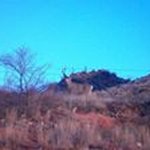Dan Hendricks - @dan.hendricks.14 - Instagram
