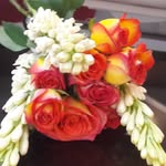 Dan Hendrix - @shahla_manteghi33 - Instagram