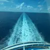 daniel.mf.hendrix - @daniel.mf.hendrix - TikTok