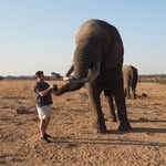 Danny Hengstenberg - @dannyhengstenberg - Instagram