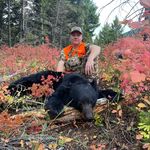 Dan Henkel - @henkel_dan - Instagram