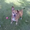 Danuta Hensel - @danuta.hensel - TikTok
