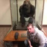 Dan Hensley - @danhensley - Instagram