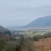dan.hensley12 - @dan.hensley12 - TikTok