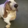 Danny Hepburn - @danny.hepburn - TikTok